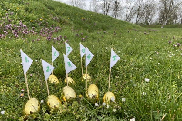 Eitjes Eitjes